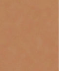 22W Sheer Beige