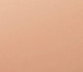 2N1 Desert Beige