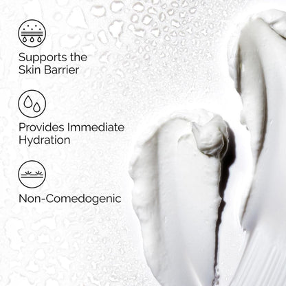 The Ordinary Natural Moisturizing Factors + HA