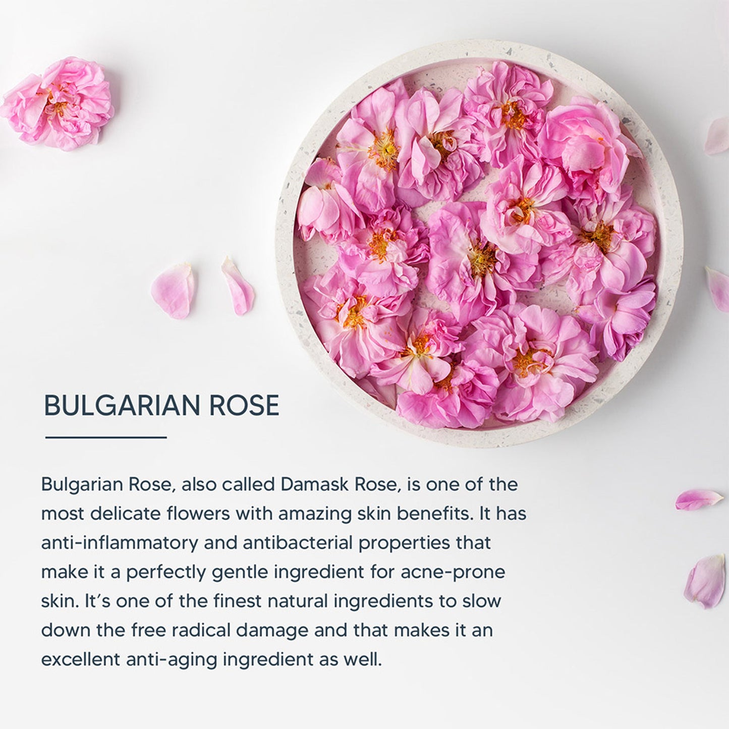 Lotus Herbals DermoSpa Bulgarian Rose Face Wash