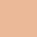 Neutral Nude