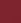 Burgundy Bloom