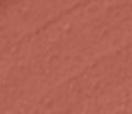 Color Nude perk