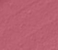 Red Icon