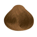 Ash Golden Blonde 8.31