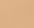 Fresh Beige