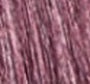 3.16 Burgundy