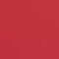 Red Bouquet 18