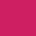 Fuschia Fun 06