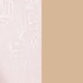 Absolute Ivory 012