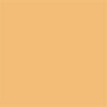 05 Soft Beige