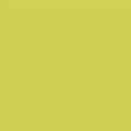 Juicy Lime