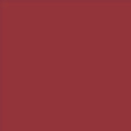 Muted Maple