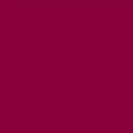 Fuchsia Fever