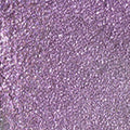 Purple Haze