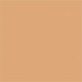 Warm Beige