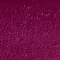Plum Berry