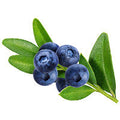 Blueberry
