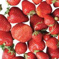 Strawberry Daiquiri