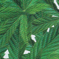 Himalayan Hemp