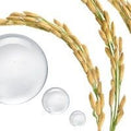 Glycolic Acid Rice Water