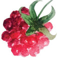 Peptides Superberries