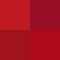 02 Rouge Delight