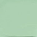 Mint Chip