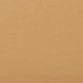 100 Neutral Warm