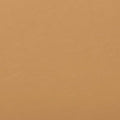 120 Neutral Warm