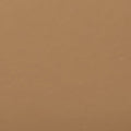 280 Neutral Olive
