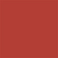 02-Coral Sorbet