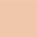 02 Rose Blush