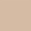 05 Golden Beige