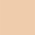 03 Light Ivory