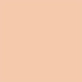 06 Warm Nude