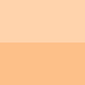 Warm Beige