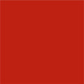 Autumn Maroon-10