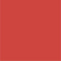 Nude Blush-22