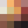 Shade 01