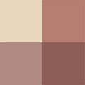 Shade 02