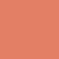 4 Copper Cheeks