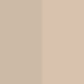 Warm Beige