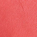 Peachy Coral