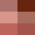 Nudes And Browns