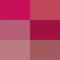 Pinks And Berries