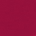 12 Festive Fuchsia