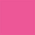 Pink Rose