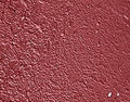 21 Rich Maroon