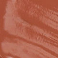 Coral-011